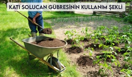 Katı Solucan Gübresinin Kullanım Şekli