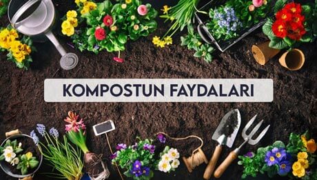 Kompostun Faydaları