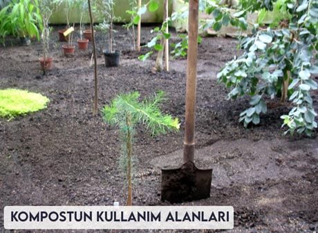 Kompostun Kullanım Alanları