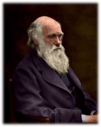 Charles Darwin’in en son yazdığı ve en az bilinen kitabı hiç tartışma konusu olmamıştı.
