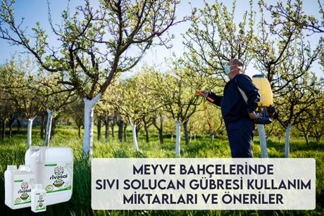 Meyve Bah&ccedil;elerinde Sıvı Solucan G&uuml;bresi Kullanım Miktarları ve &Ouml;nerileri