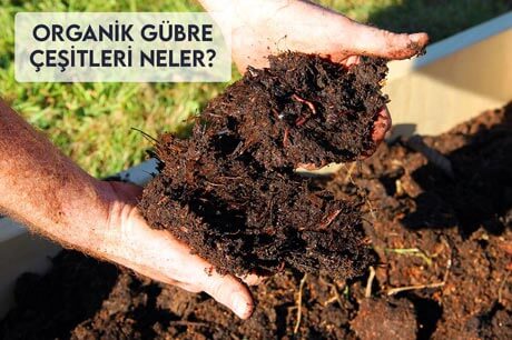 Organik Gübre Çeşitleri Neler?