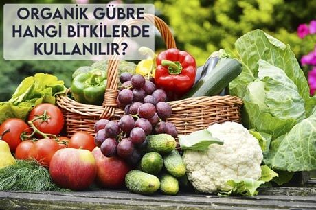 Organik Gübre Hangi Bitkilerde Kullanılır?