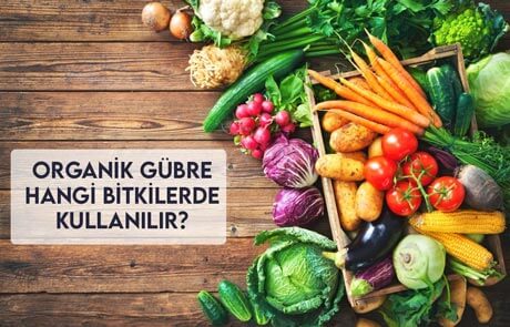 Organik Gübre Hangi Bitkilerde Kullanılır?