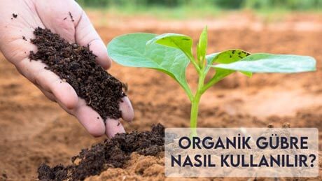 Organik Gübre Nasıl Kullanılır?