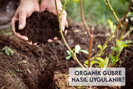 Organik Gübre Nasıl Uygulanır?