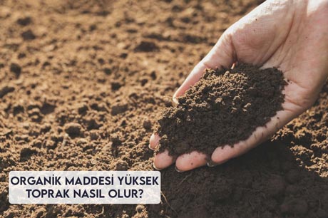 Organik Maddesi Yüksek Toprak Nasıl Olur?