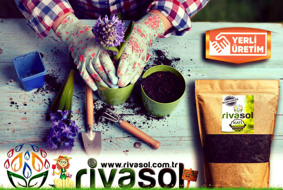 Küçük Bitkiler ve Saksılarda Rivasol® Organik Solucan Gübresi Nasıl uygulanır