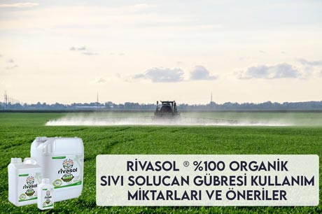 Sıvı Solucan Gübresi Kullanım Miktarları ve Öneriler