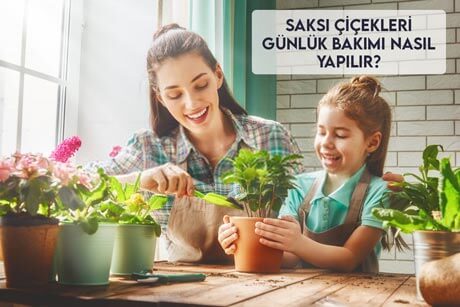 Saksı Çiçekleri Günlük Bakımı Nasıl Yapılır?