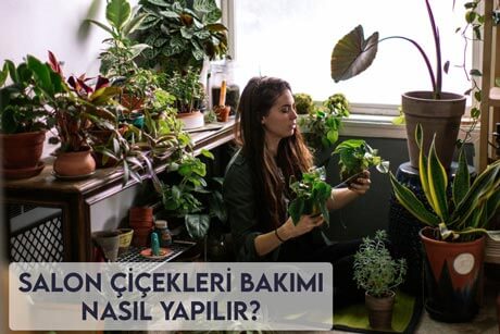 Salon Çiçekleri Bakımı Nasıl Yapılır?