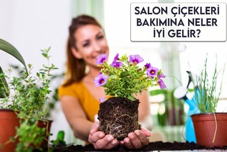 Salon Çiçekleri Bakımına Neler İyi Gelir?