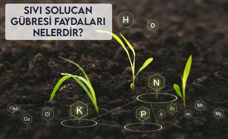 Sıvı Solucan Gübresi Faydaları Nelerdir?