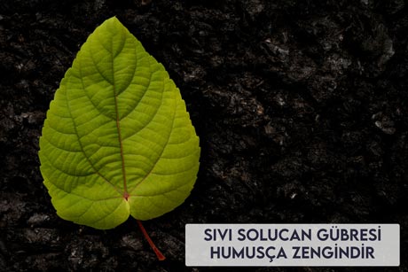 Sıvı Solucan Gübresi Humusça Zengindir