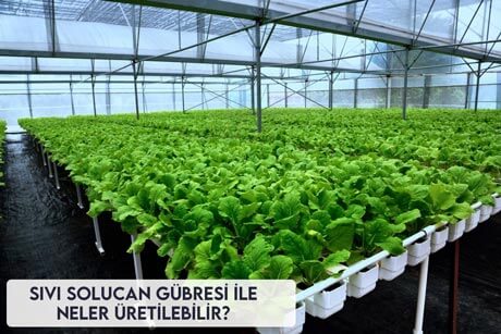 Sıvı Solucan Gübresi ile Neler Üretilebilir?