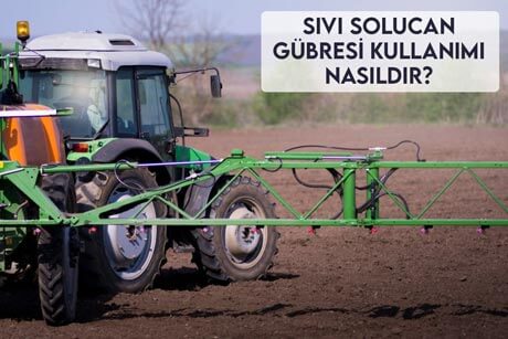 Sıvı Solucan Gübresi Kullanımı Nasıldır?