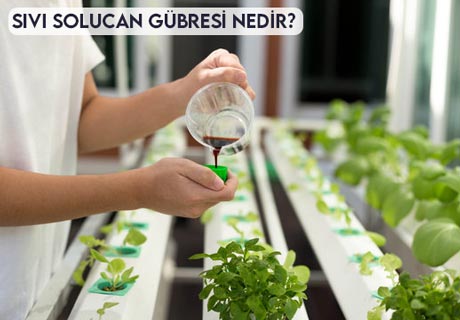 Sıvı Solucan Gübresi Nedir?