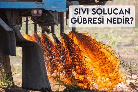 Sıvı Solucan Gübresi Nedir?