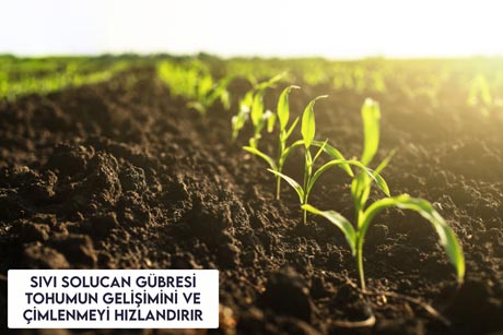 Sıvı Solucan Gübresi Tohumun Gelişme ve Çimlenmesini Hızlandırır