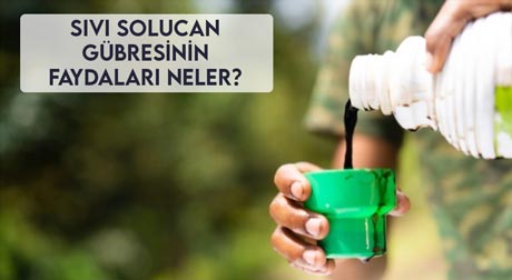 Sıvı Solucan Gübresinin Faydaları Neler?