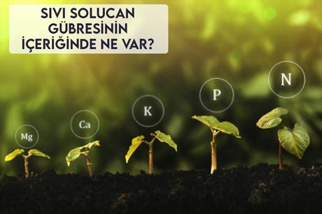 Sıvı Solucan Gübresinin İçeriğinde Ne Var?