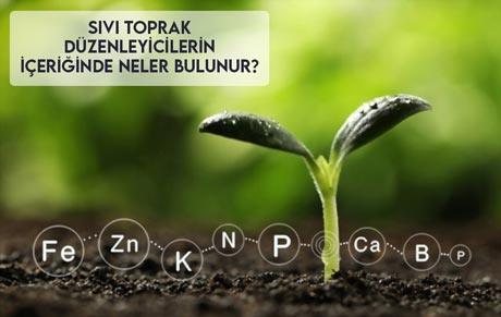 Sıvı Toprak Düzenleyicilerin İçeriğinde Neler Bulunur?