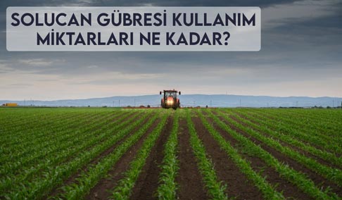 Solucan Gübresi Kullanım Miktarları Ne Kadar?