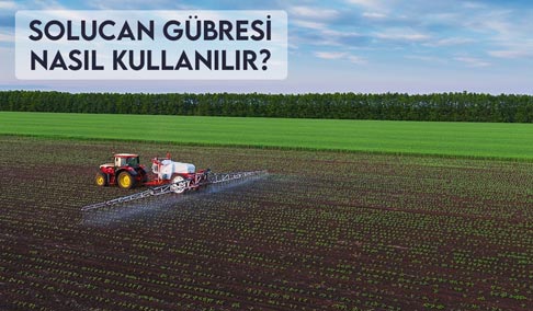 Solucan Gübresi Nasıl Kullanılır?