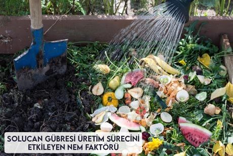 Solucan Gübresi Üretim Sürecini Etkileyen Nem Faktörü