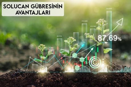 Solucan Gübresinin Avantajları Nedir?