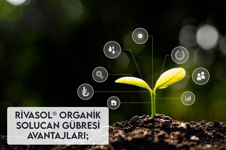 Organik Solucan Gübresi Avantajları Nedir?