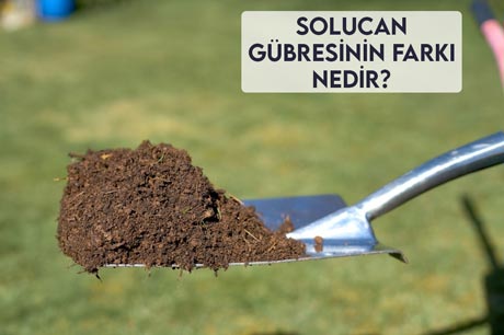 Solucan Gübresinin Farkı Nedir?