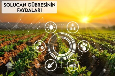 Solucan Gübresinin Faydaları Neler?