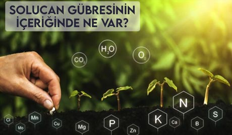 Solucan Gübresinin İçeriğinde Ne Var?