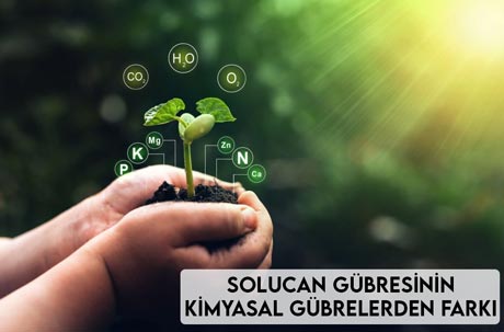 Solucan Gübresinin Kimyasal Gübrelerden Farkı ?