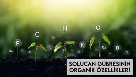 Solucan Gübresinin Organik Özellikleri