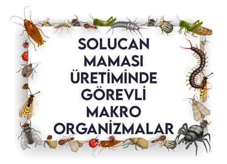 Solucan Maması Üretiminde Görevli Makroorganizmalar