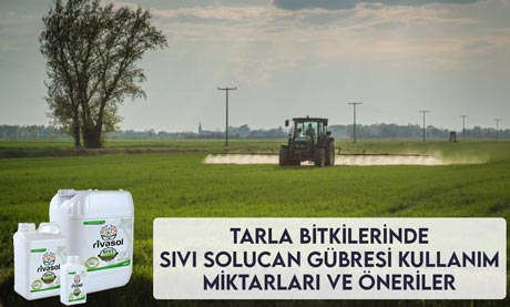 Tarla Bitkilerinde Sıvı Solucan Gübresi Kullanım Miktarları ve Önerileri