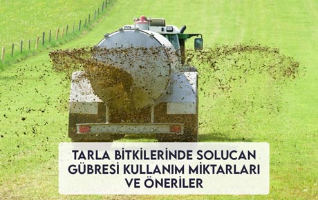 Tarla Bitkilerinde Kullanım Miktarları ve Öneriler