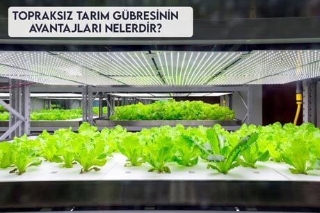 Topraksız Tarım Gübresinin Avantajları Nelerdir?