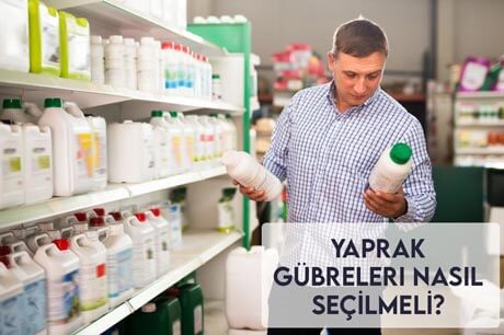 Yaprak Gübreleri Nasıl Seçilmeli?