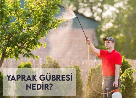 Yaprak Gübresi Nedir, Ne İşe Yarar?