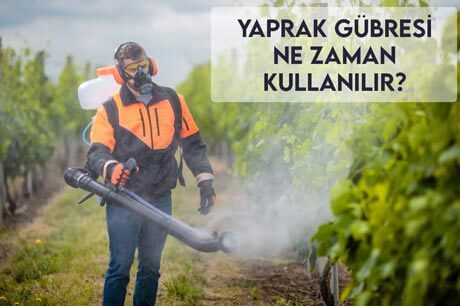 Yaprak Gübresi Ne Zaman Kullanılır?