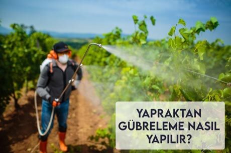 Yapraktan Gübreleme Nasıl Yapılır?